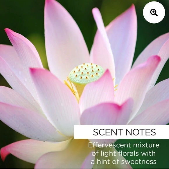 Nourishing Dew Mask by Whish - Picture 4 of 8